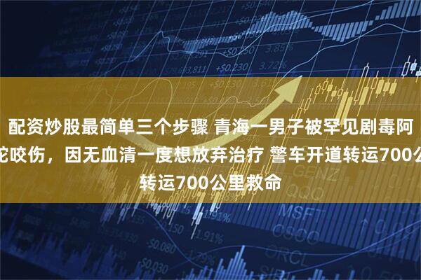 配资炒股最简单三个步骤 青海一男子被罕见剧毒阿拉善蝮蛇咬伤，因无血清一度想放弃治疗 警车开道转运700公里救命