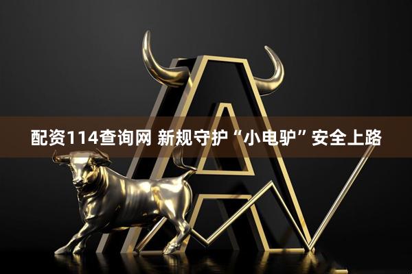 配资114查询网 新规守护“小电驴”安全上路